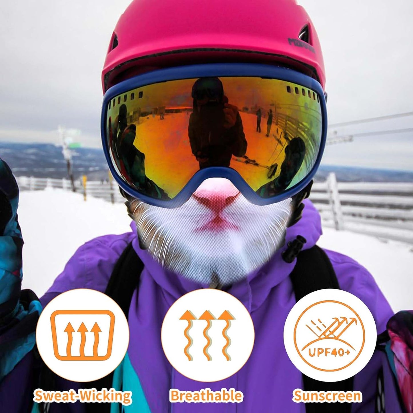 3D Cat Ski Balaclava Sheisty Face Mask, Cat Mask with Ears for Music Festivals, Raves Ski Halloween Party Outdoor Activities Cats Style