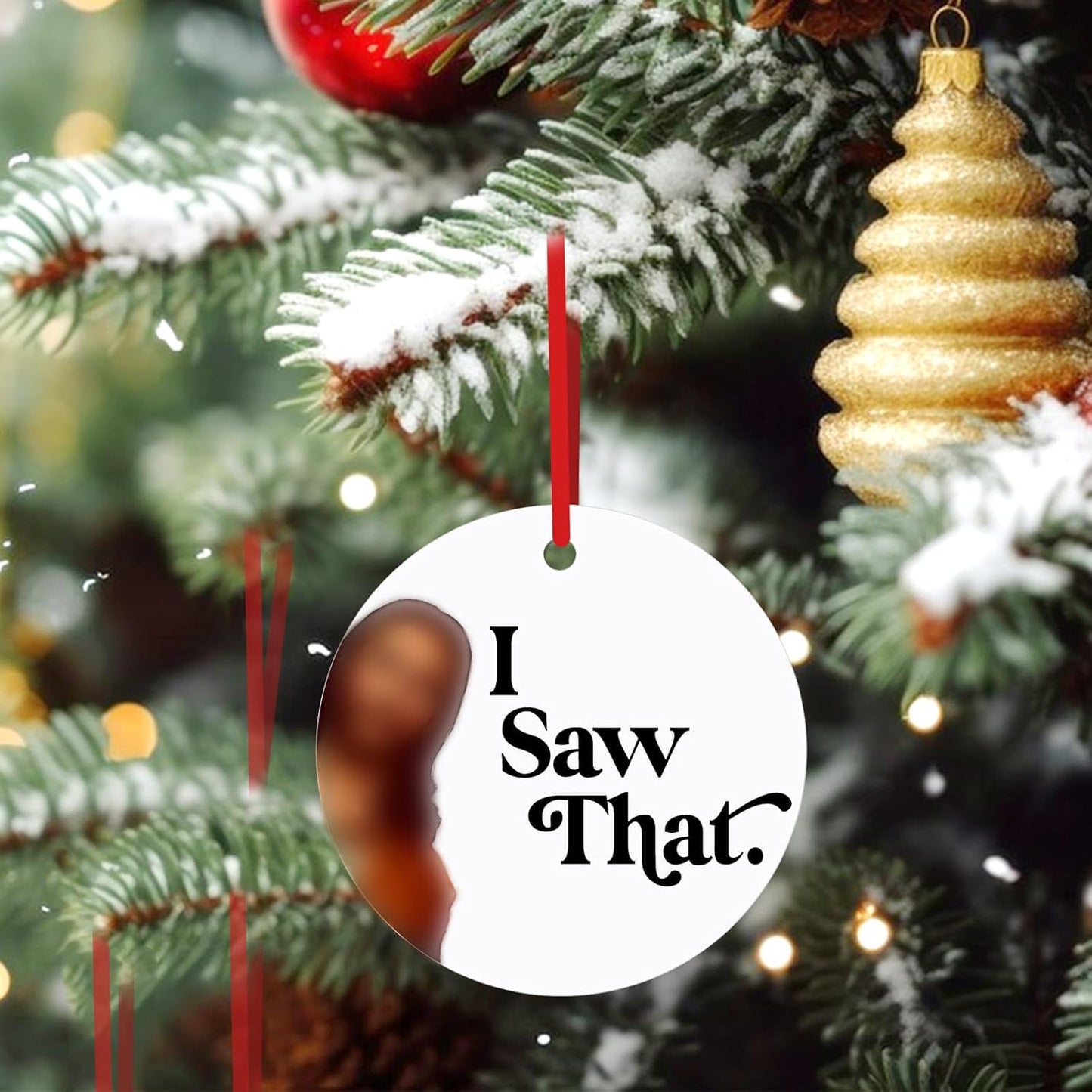 Funny Christmas Ornament 2025, I Saw That Christmas Ornaments, Funny Christmas Ornament Gifts Exchange