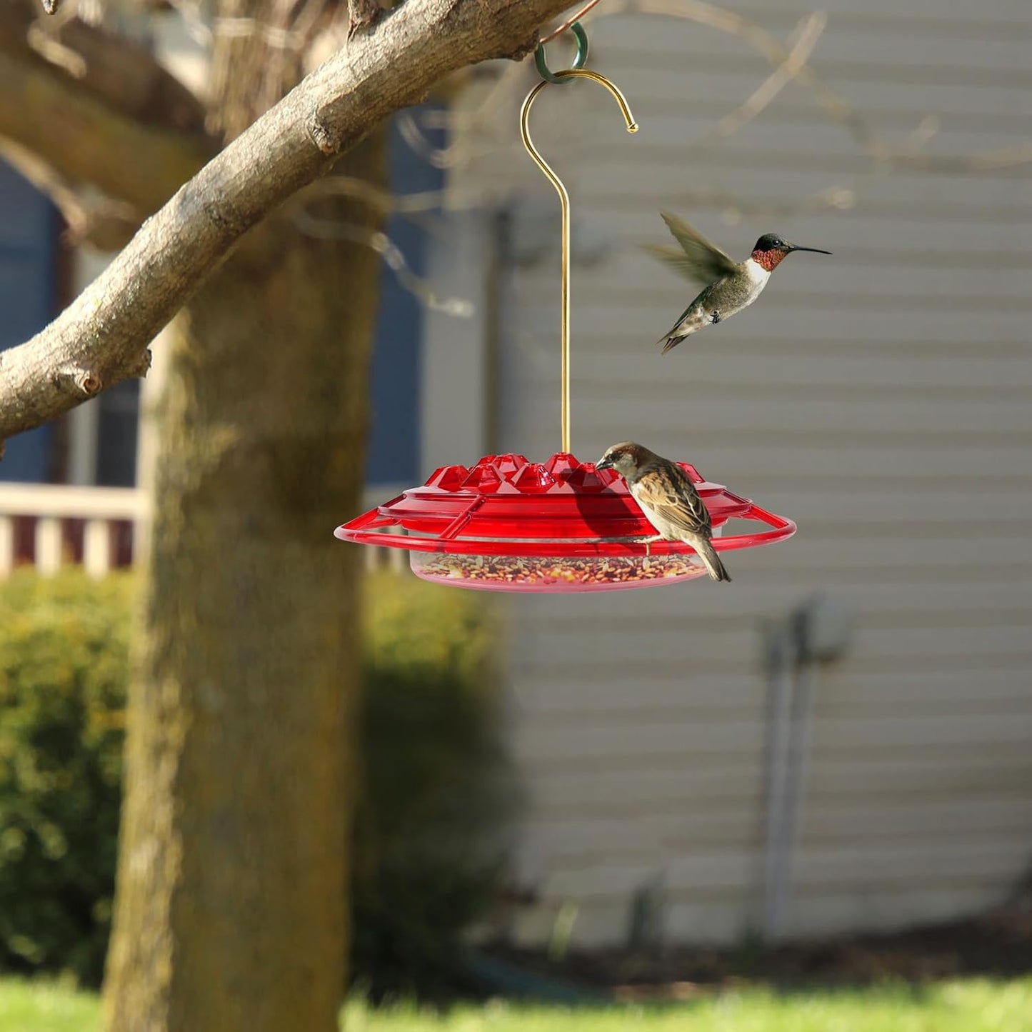 Hummingbird Feeders, Sherem Hummingbird Feeder and Built, 2025 for Courtyard Outdoors Hanging