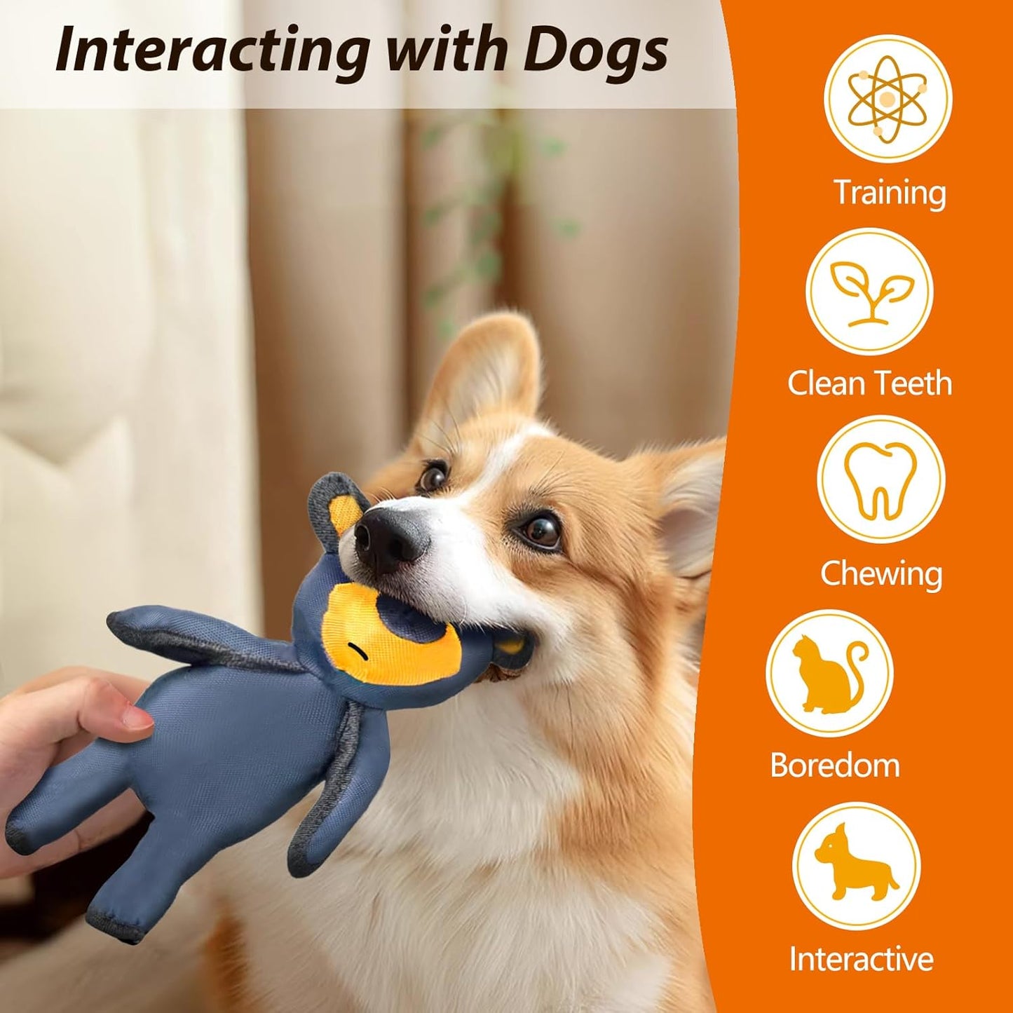 Bear Dog Toy, 2025 New Robust Squeaky Bear Dog Toys, Indestructible Cat Dog Toys for Small Dogs, Interactive Toys to Keep Them Busy