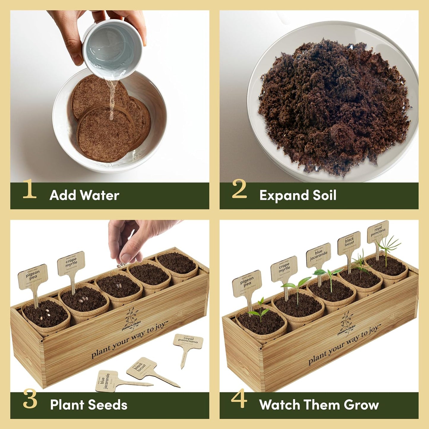 Planter's Choice Bonsai Tree Starter Kit - Unique Gifts for Women, Men - Christmas Gifts for Adults - Indoor Live House Plants - DIY Crafts for Adults Craft Kits - Hobby Gift for Gardening Lovers