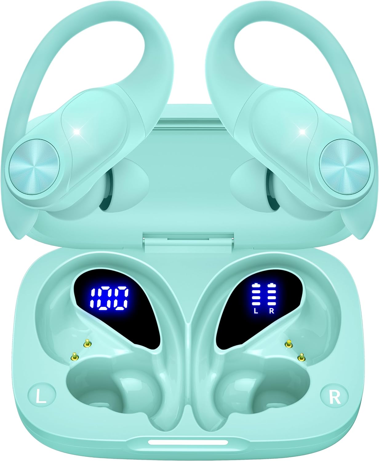Bluetooth Headphones Wireless Earbuds 80hrs Playtime Wireless Charging Case Digital Display Sports Ear buds with Earhook Premium Deep Bass IPX7 Waterproof Over-Ear Earphones for TV Phone Laptop Black