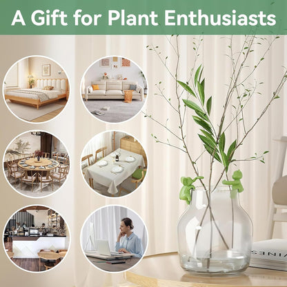 2pc Plant Propagation Buddy, St. Patricks Day Plant Breeding Friend, Cute Plant Plant Cutting Holder Plant Support Plant Sprouts
