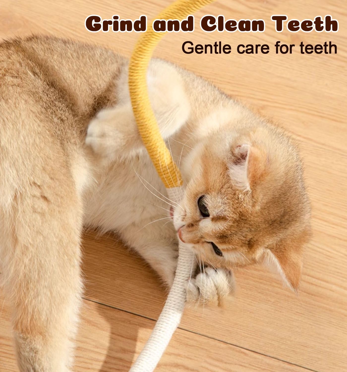 Cat Chew Ropes 4Pcs, Cat Toys for Indoor Cats with Refillable Natural Catnip, Safe Teeth Cleaning Chew Toys, Interactive Kitten Nip Toys and All Breeds (19.5 Inches)