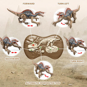 Remote Control Dinosaur Toys, Dinosaurs Velociraptor Toy, RC Dinosaurs - Cykapu