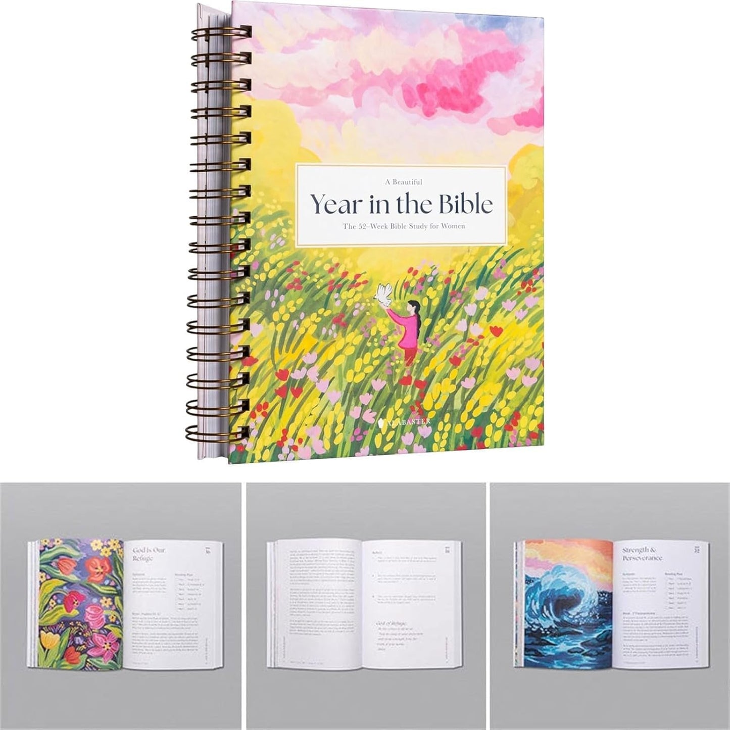 2025 A Beautiful Year in The Bible Upgrade Spiral, 52-Week Bible Study for Women(Spiral-Bound) A Guided Scripture Reading Journey