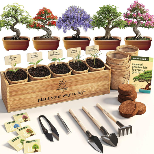 Planter's Choice Bonsai Tree Starter Kit - Unique Gifts for Women, Men - Christmas Gifts for Adults - Indoor Live House Plants - DIY Crafts for Adults Craft Kits - Hobby Gift for Gardening Lovers
