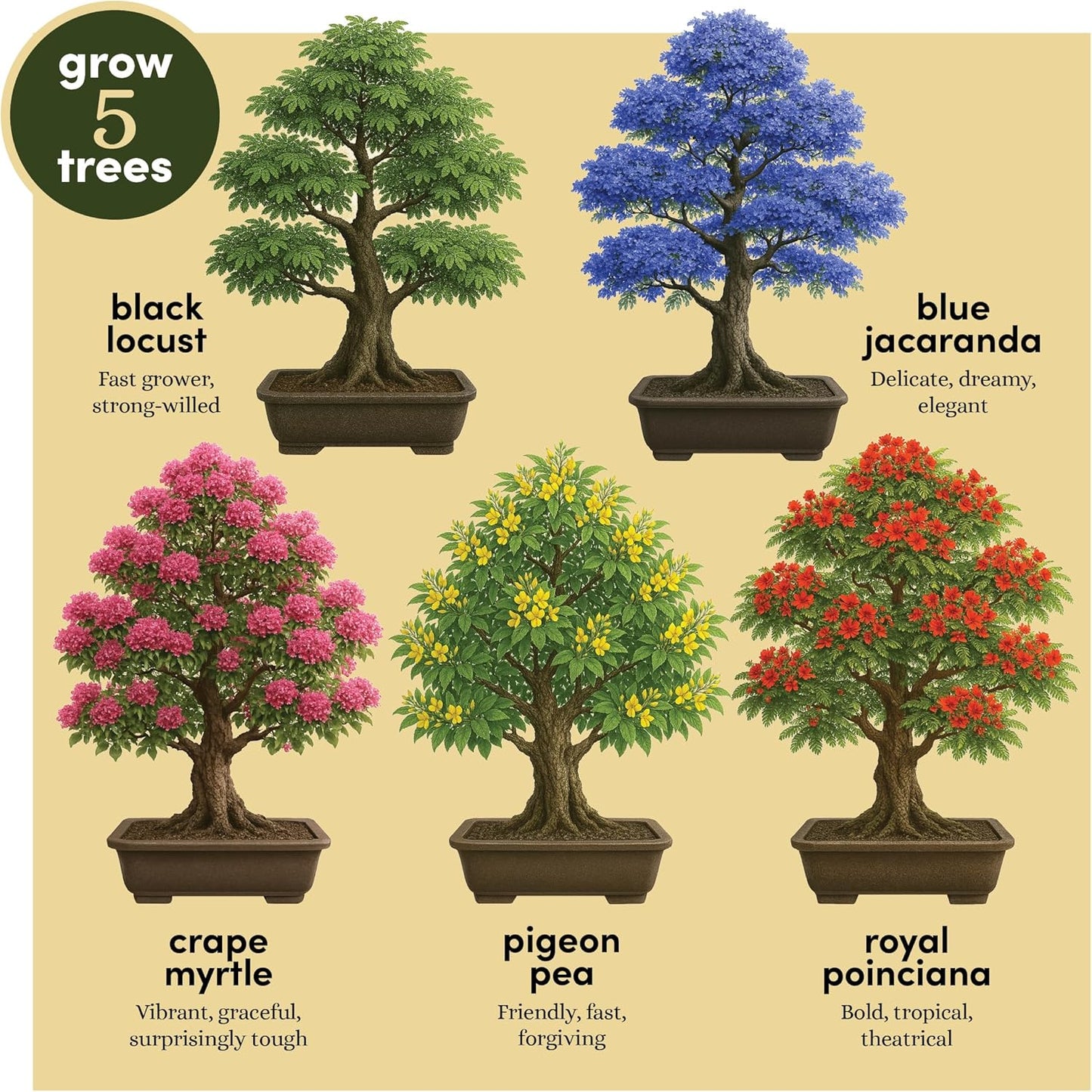 Planter's Choice Bonsai Tree Starter Kit - Unique Gifts for Women, Men - Christmas Gifts for Adults - Indoor Live House Plants - DIY Crafts for Adults Craft Kits - Hobby Gift for Gardening Lovers