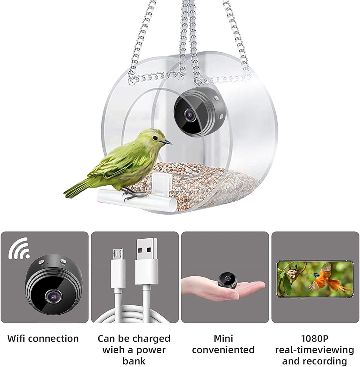 Smart bird feeder with camera