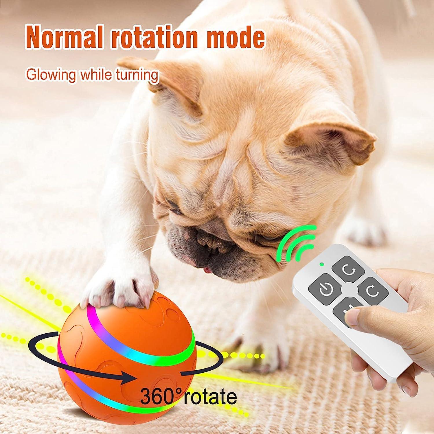 FRDKATE Ezfun Peppy pet Ball for Dogs, Interactive Dog Ball Toy-USB  Rechargeable Automatic Moving Rotating LED Light, Automatic Rolling Ball  for